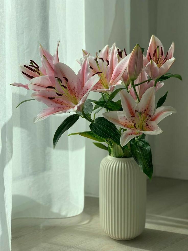 Nooni (@chaarpaai) on Twitter photo 