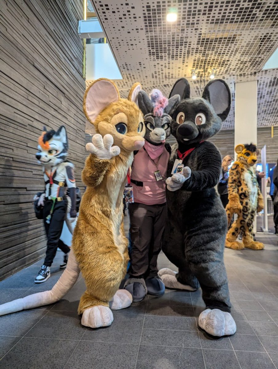 Had an amazing week hanging with the best floofs at #NFC2025 can't wait to make more fur cons in the future!!!