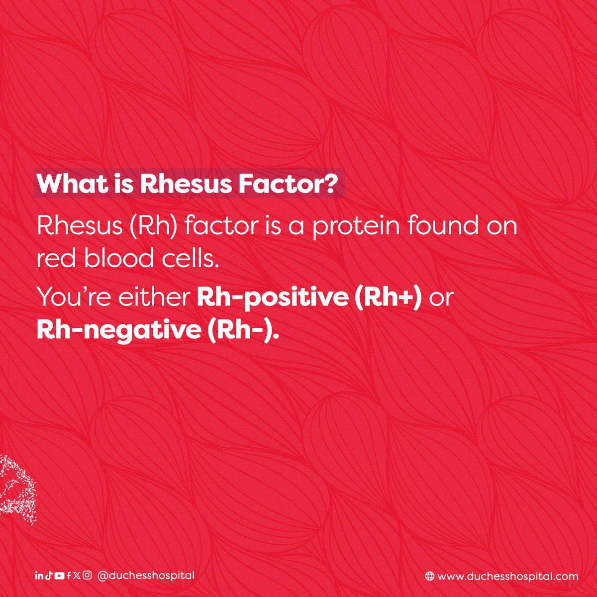 DuchessHospital's tweet image. Understanding your Rh status helps prevent complications and ensures safe medical decisions. 

Stay informed, stay healthy!

#KnowYourRhFactor 
#Rhfactor
#duchesshospital
#Duchessaffordablehealthcare
#Duchesstransforminghealthcare