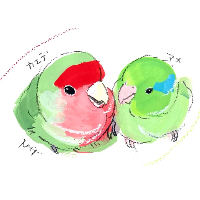 オーダーイラストのご紹介 再び描かせていただきました とっても仲良しな コザクラインコさんとマメルリハさんです #なごやことりびより 26(水)まで開催中