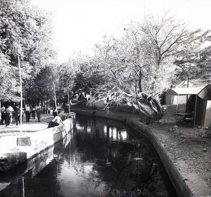 سەرچنار 🖤🤍