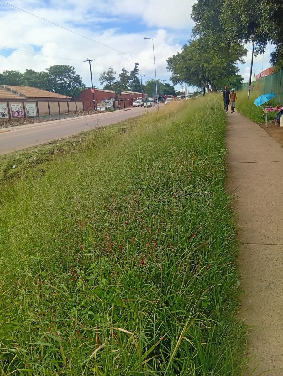 RamaboduObakeng's tweet photo. Our City of Tshwane Grass cutting is underway in Hammanskraal Region 2, Temba, Juba street because of the rain we ask our residents to be patient with us as we work every day to turn the city of Tshwane around . https://t.co/ggUCVsSbTk