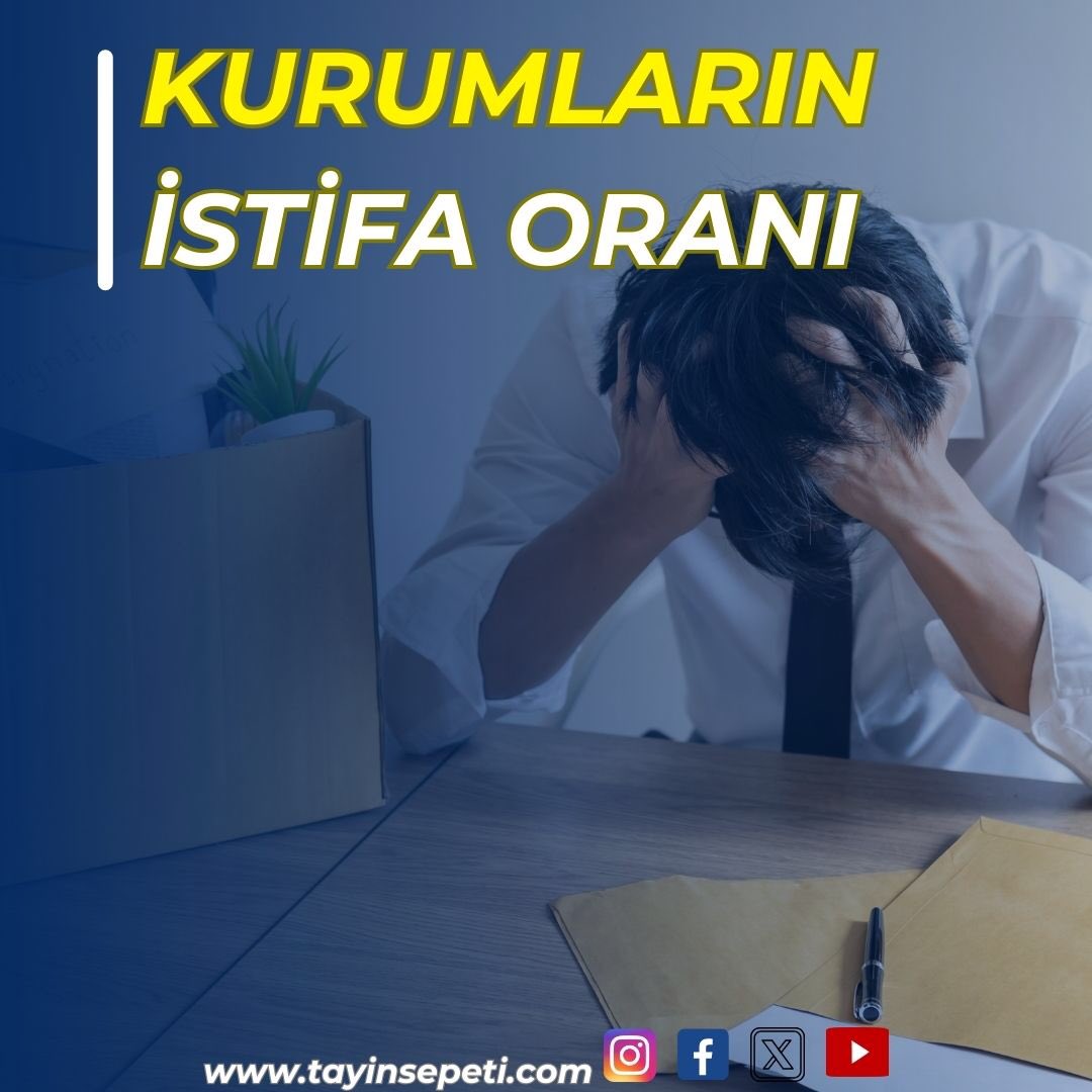 tayinsepeti's tweet photo. Kurumların en çok istifa edilen ve en az istifa edilen sıralaması. İstifa Sebepleri neler? İnternet sitemizde bulabilirsiniz. #memur #sözleşmeli #kadrolu #bakanlıklar #üniversiteler #belediyeler #kamu #devlet #kamupersoneli #kpss #uzman #personel #çalışan #işçi #sürekliişçi #dmk https://t.co/W9LmS8Iejg