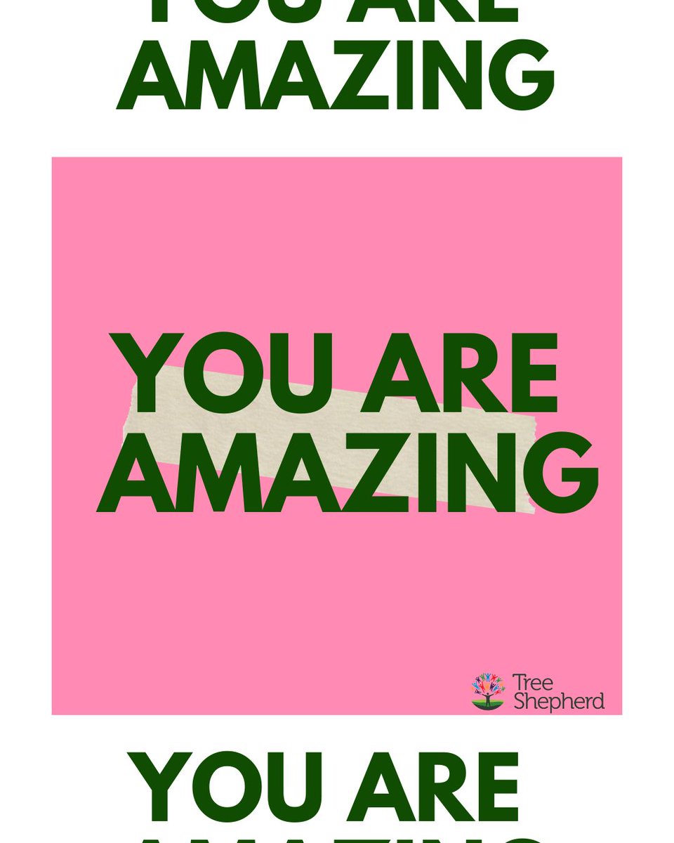 Tree Shepherd tweet media