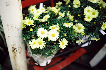 人生っていうのは更新されるものなのですね
さあ、明日もどうか・・・