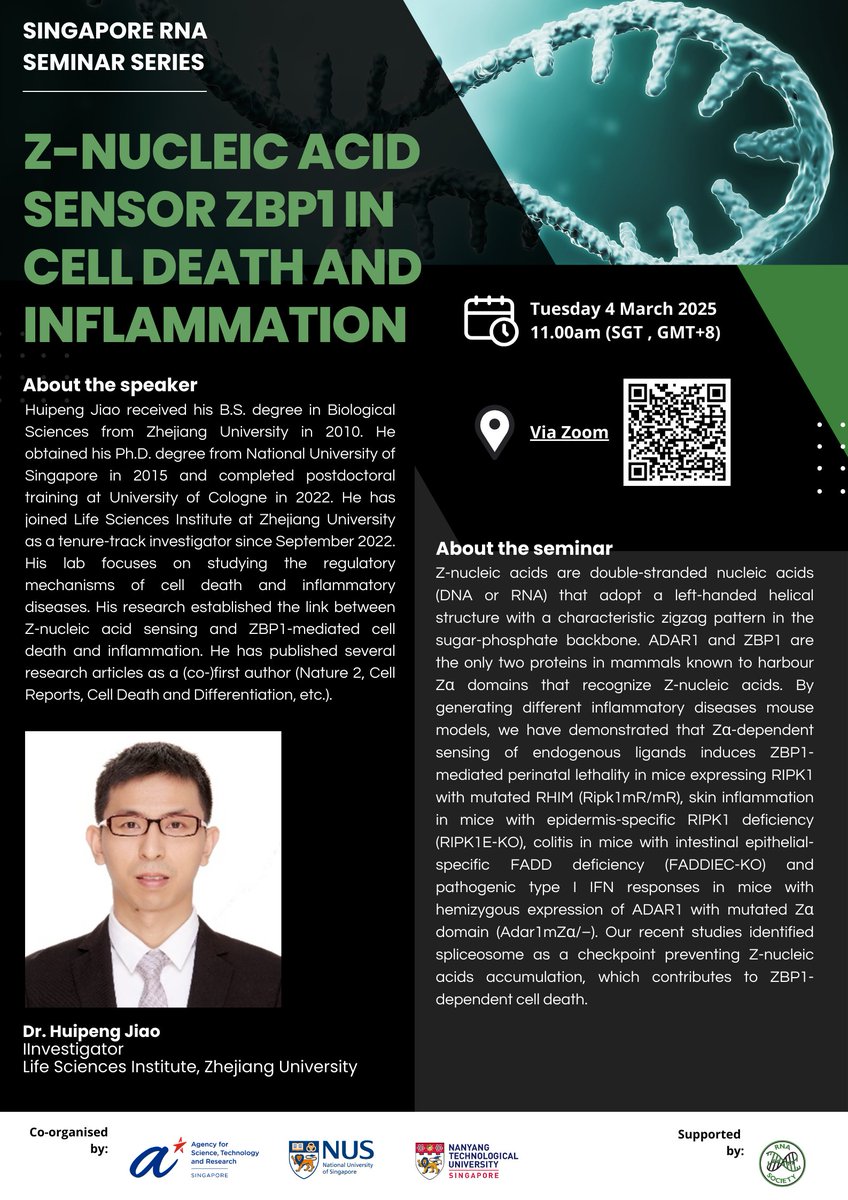Singapore RNA Seminar Series

Join us at our next seminar by Dr. Huipeng Jiao from Life Sciences Institute, Zhejiang University, on Tuesday 4 March at 11am (SGT).

Webinar details:
Webinar ID:  929 5538 3269
Passcode:  408776

Subscribe to our future RNA events at