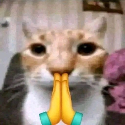 fortune.⠀ decir que voy a revivir esta cuenta es como promesa de campaña electoral