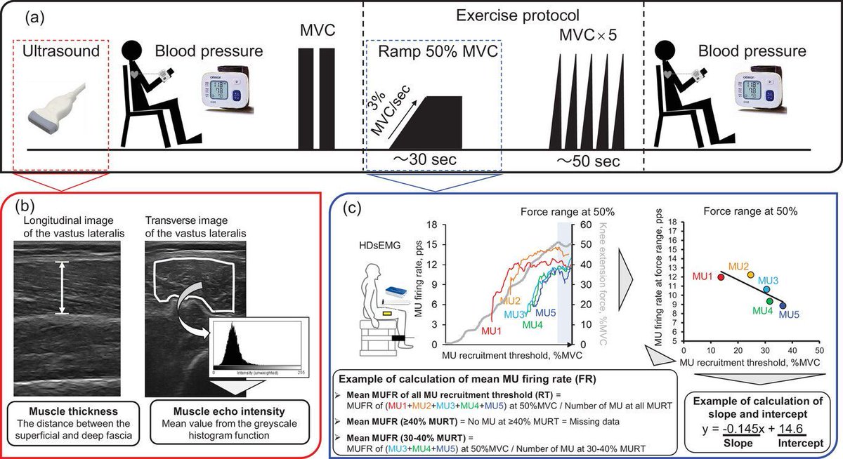 Experimental Physiology (@expphysiol) on Twitter photo Does hypertension status (such as using or not using an anti-hypertensive medication) affect the motor unit firing pattern in older individuals? Takeda, <a href="/TetsuyaHirono22/">TetsuyaHirono</a>, Yoshiko, <a href="/mimishaca/">Masamichi Okudaira / 奥平 柾道 🇯🇵🇺🇸</a>, <a href="/TaichiNIshikaw2/">西川 太智 Taichi NIshikawa</a>, <a href="/KoheiEMG/">Kohei Watanabe Chukyo Univ 渡邊航平</a>, Kunugi and Ueda investigate!
📜buff.ly/43dwaiL Does hypertension status (such as using or not using an anti-hypertensive medication) affect the motor unit firing pattern in older individuals? Takeda, <a href="/TetsuyaHirono22/">TetsuyaHirono</a>, Yoshiko, <a href="/mimishaca/">Masamichi Okudaira / 奥平 柾道 🇯🇵🇺🇸</a>, <a href="/TaichiNIshikaw2/">西川 太智 Taichi NIshikawa</a>, <a href="/KoheiEMG/">Kohei Watanabe Chukyo Univ 渡邊航平</a>, Kunugi and Ueda investigate!
📜buff.ly/43dwaiL