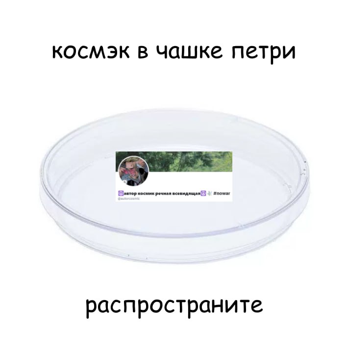 шура мал(ьв)ина (@kotleta_cat) on Twitter photo 