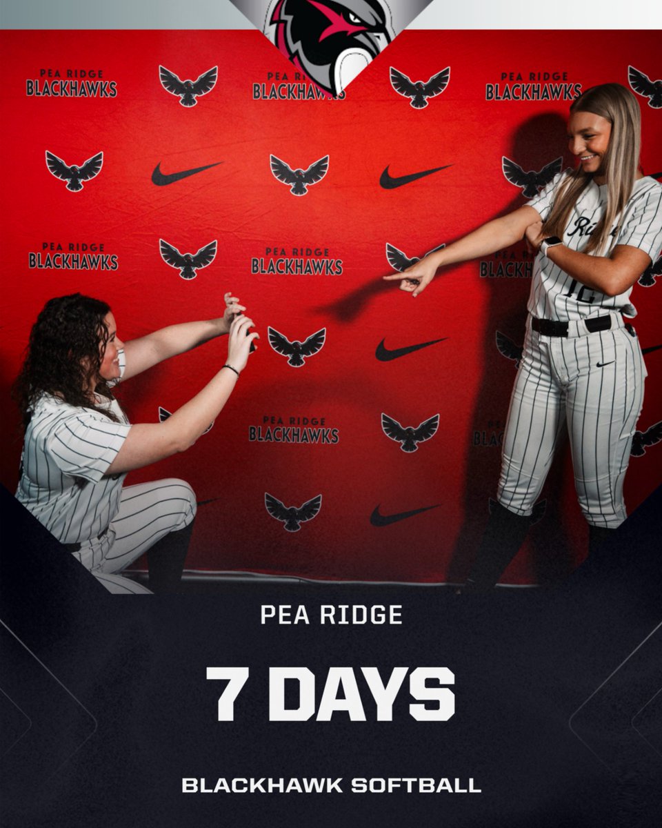 Pea Ridge Softball tweet media