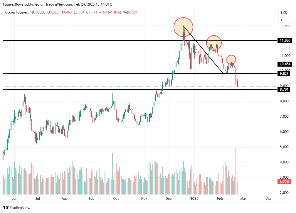 Cocoa sell off continues -2%. Support at 8800 #Cocoa $CC