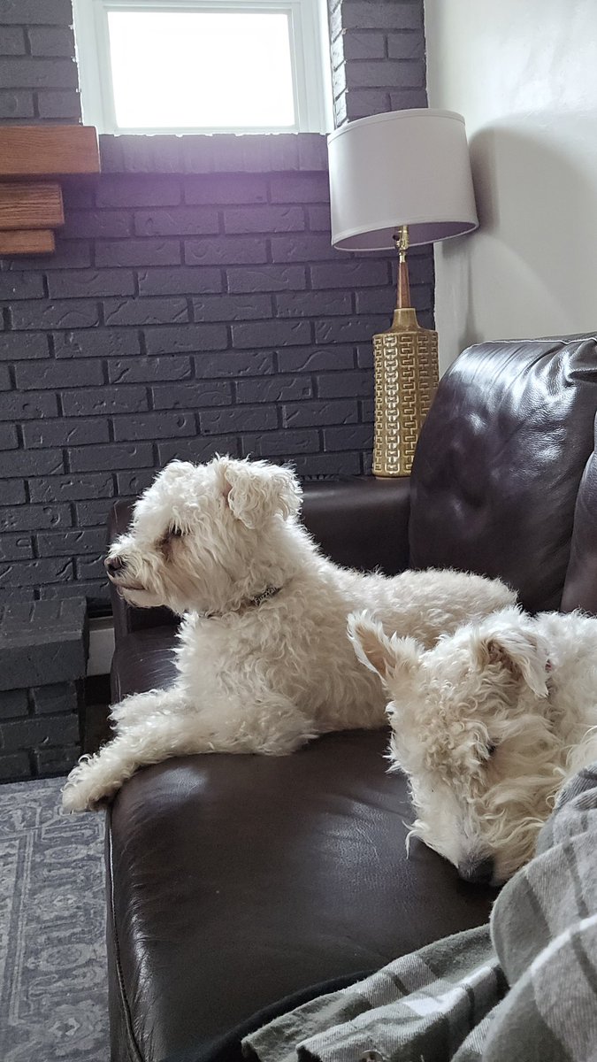 🌈The Where True Love is Movement 🏳️‍⚧️ (@wheretrueloveis) on Twitter photo 