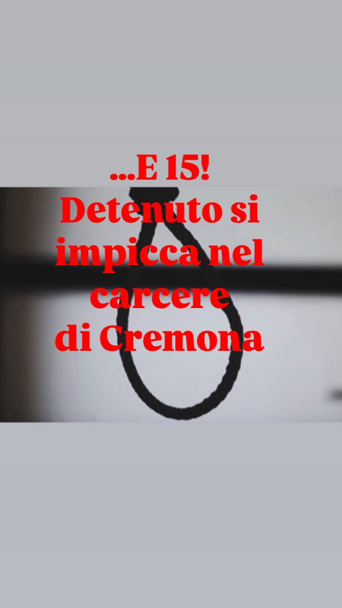 RICCARDO ARENA tweet media