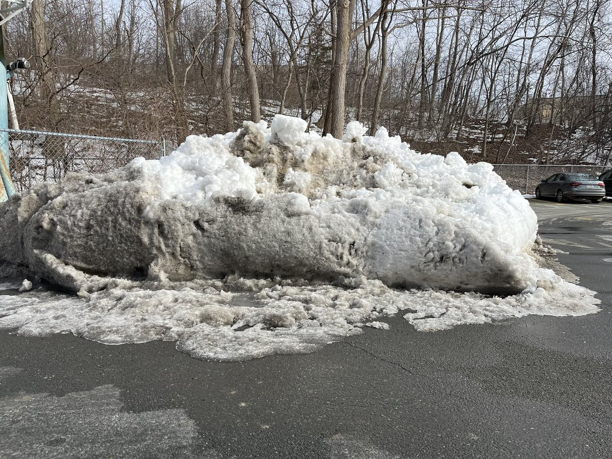 The News10 parking lot snow bank. Good luck this week, fella!