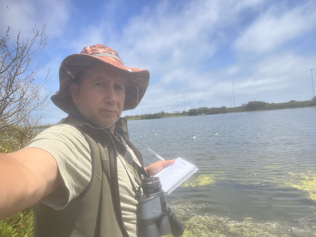 Seguimos extrayendo botellas con orina humana desde el humedal LAGUNAS DE LLOLLEO en febrero 2025 <a href="/mma_valparaiso/">Seremi MMA Valparaíso</a> <a href="/RedHumedalesCH/">Red Plurinacional Humedales de Chile</a> <a href="/RedNoticiasVR/">RedNoticiasVRegión</a> <a href="/MMAChile/">Ministerio del Medio Ambiente</a> <a href="/HumedalesU/">Humedal Nativo</a> <a href="/imsanantoniocl/">Muni San Antonio</a>