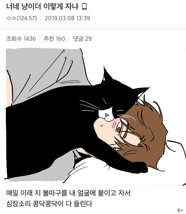 백공 작가님이 찬영현진으로 그려주심...
어떡해 너무 귀여워요
너 고양이래 🥹