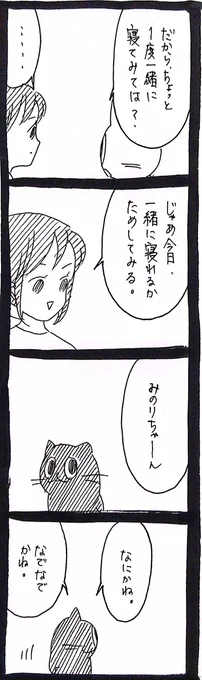 家庭内野良猫みのりちゃん57 