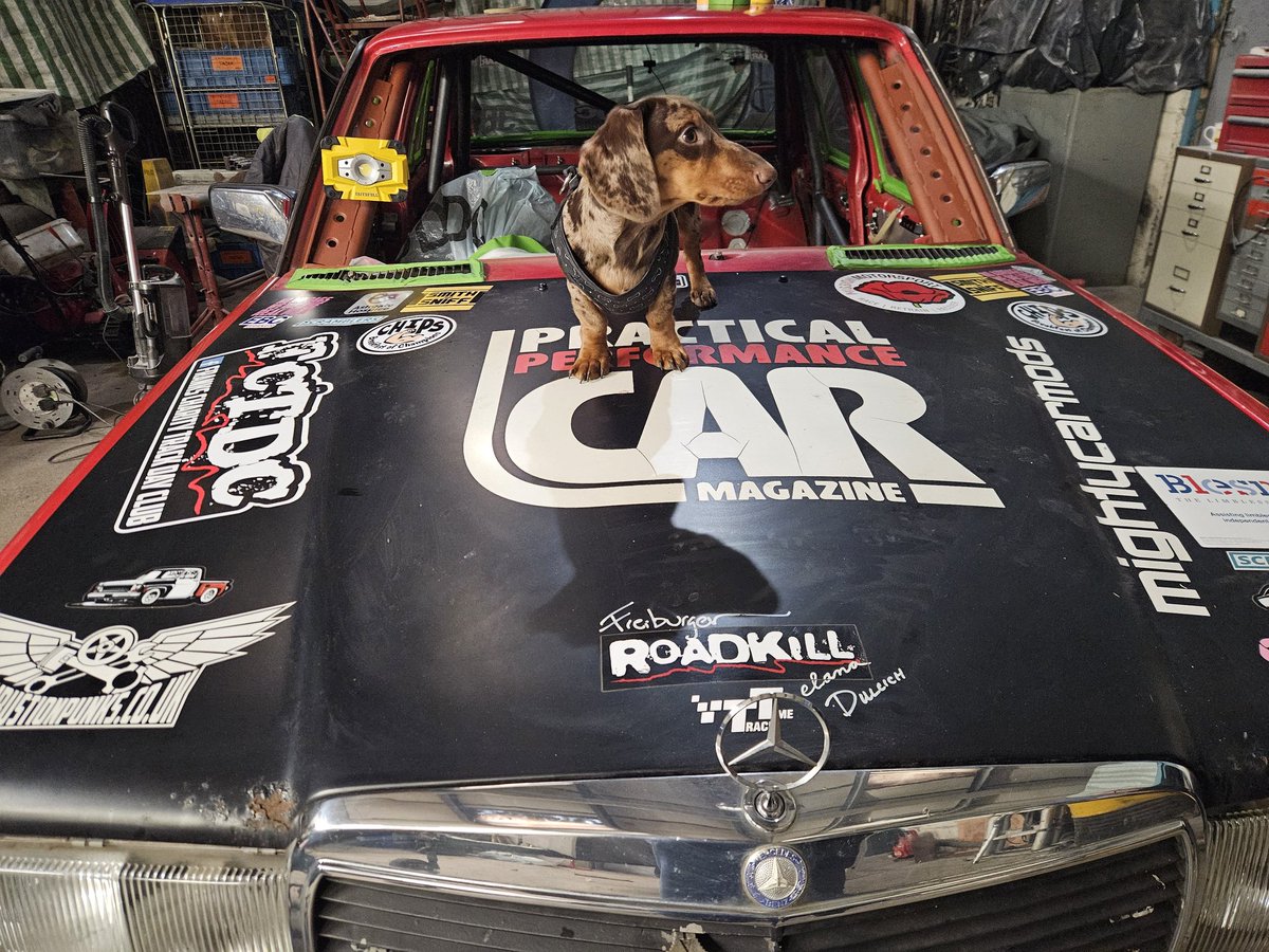 Frank James Hall (@fha772) on Twitter photo Forget <a href="/Jaguar/">Jaguar</a> leaping cat, or <a href="/rollsroycecars/">Rolls-Royce Motor Cars</a> Spitit of Ecstacy.
The <a href="/FCTDC1/">FCTDC</a> track day <a href="/MercedesBenz/">Mercedes-Benz</a> W123 has got the Bemused Dachshund!! 😂🤣 Forget <a href="/Jaguar/">Jaguar</a> leaping cat, or <a href="/rollsroycecars/">Rolls-Royce Motor Cars</a> Spitit of Ecstacy.
The <a href="/FCTDC1/">FCTDC</a> track day <a href="/MercedesBenz/">Mercedes-Benz</a> W123 has got the Bemused Dachshund!! 😂🤣
