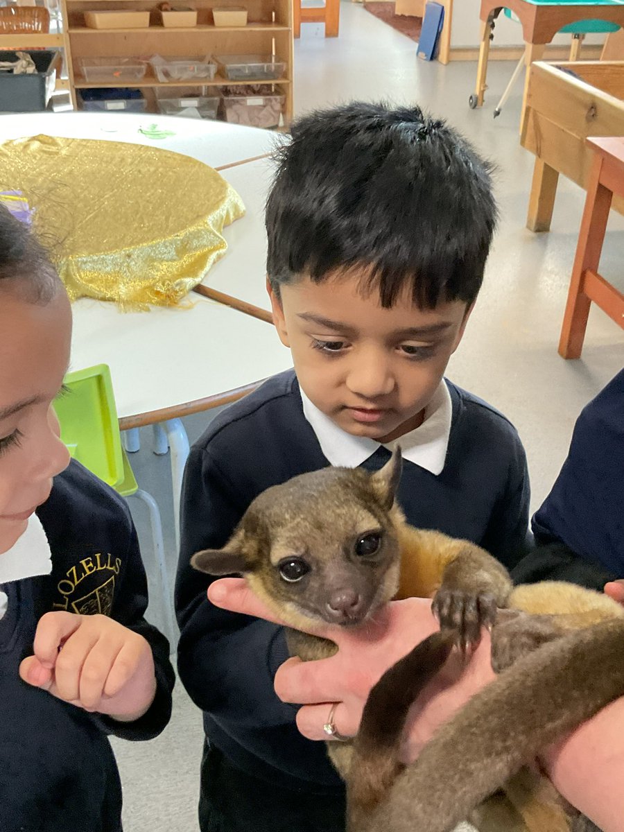 Dipika Patel (@dipika4patel) on Twitter photo We had a visit from some special visitors in our EYFS!
🐸🦎🦉🐍 <a href="/LozellsPrimary/">LozellsPrimarySchool</a> <a href="/MrsIqbalLozells/">Mrs Iqbal</a> <a href="/LozellsJH/">Miss Hocking</a> We had a visit from some special visitors in our EYFS!
🐸🦎🦉🐍 <a href="/LozellsPrimary/">LozellsPrimarySchool</a> <a href="/MrsIqbalLozells/">Mrs Iqbal</a> <a href="/LozellsJH/">Miss Hocking</a>