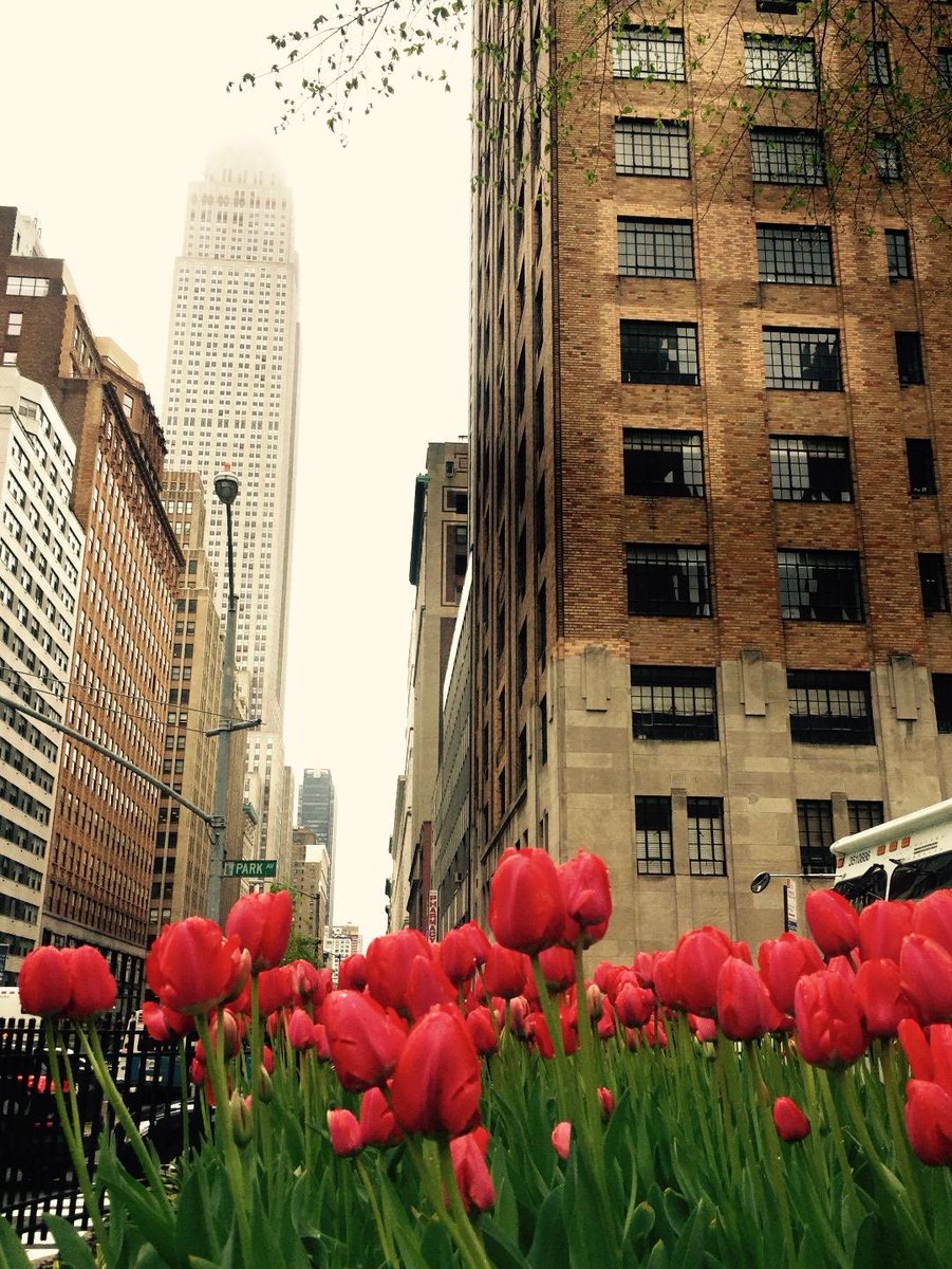 New York. iPhone 6!