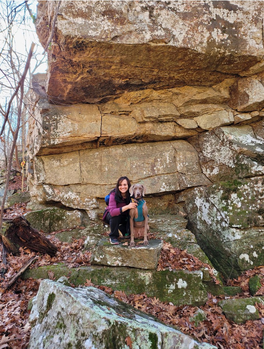 MUSC PM&R Residency (@musc_pmr) on Twitter photo Meet the Team--Faculty Edition!
Lindsay Mohney, Program Director and professional photo dodger 📷!
#physiatry <a href="/pmr/">Per-Magnus Rønning</a> #meetthefaculty #muscpmr #pmrresidency Meet the Team--Faculty Edition!
Lindsay Mohney, Program Director and professional photo dodger 📷!
#physiatry <a href="/pmr/">Per-Magnus Rønning</a> #meetthefaculty #muscpmr #pmrresidency