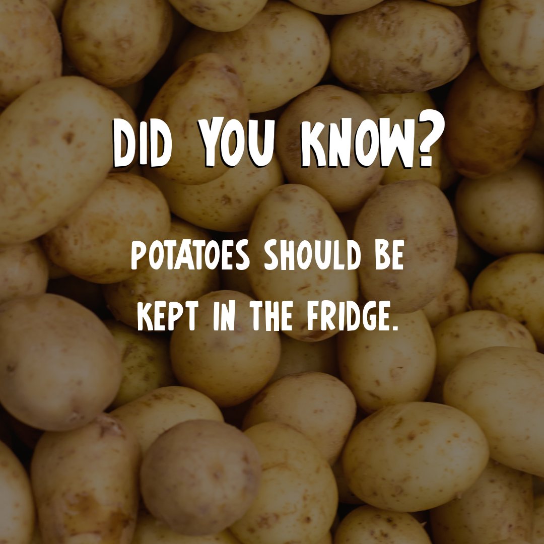 Are you storing your potatoes in the fridge? 🥔 

Storing your potatoes in the fridge to keeps them fresher for longer. 

<a href="/WRAP_NGO/">WRAP</a> (who bring you Love Food Hate Waste) research has found that refrigerated spuds can last up to three times longer than those stored at room
