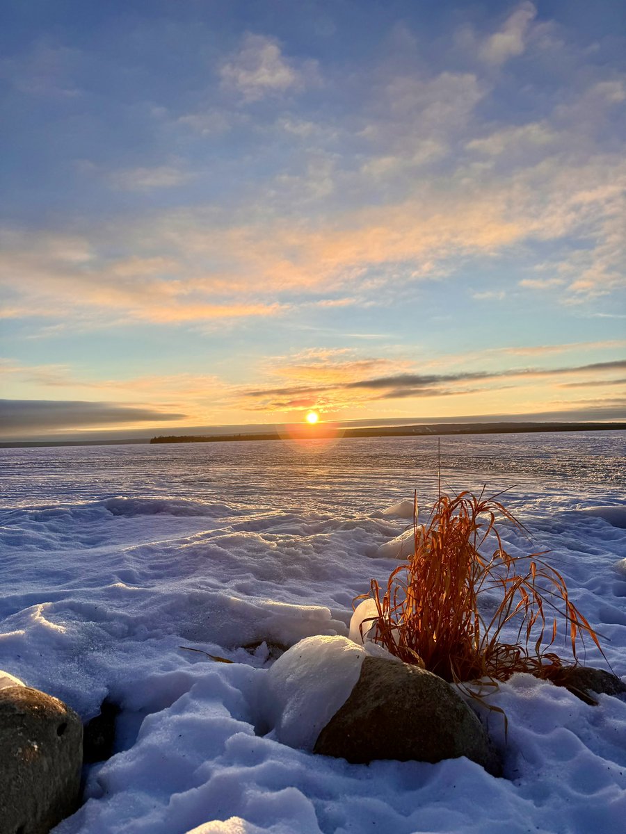 Christina McKinley 🇨🇦 tweet media