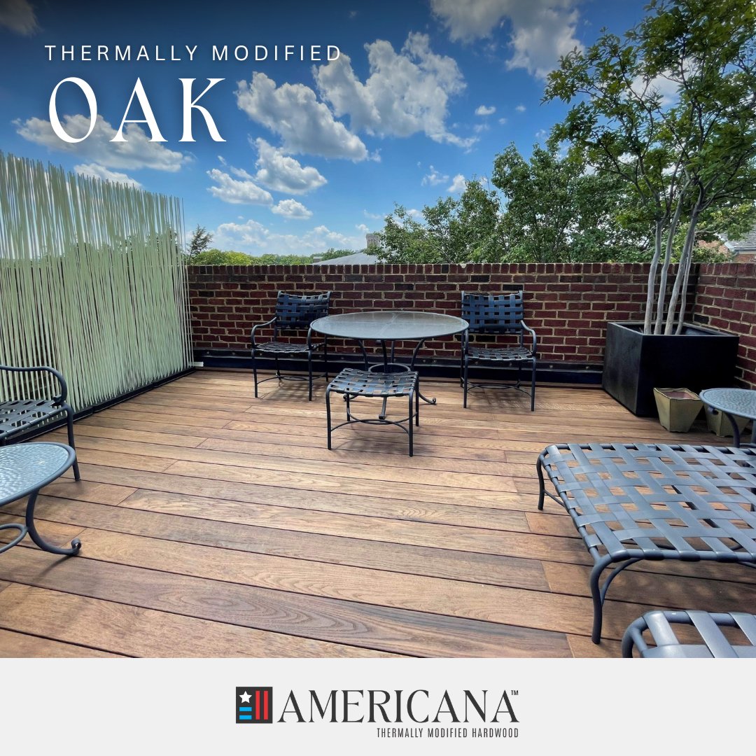 AmericanaReal's tweet photo. 🌳 True Northern Red Oak (Quercus rubra) stands tall as one of the most versatile and beautiful hardwoods in the Mid-Atlantic. With its rich grain, natural strength, and vibrant brick-red fall foliage, this species has been cherished for centuries. https://t.co/LmfcLFkk4p