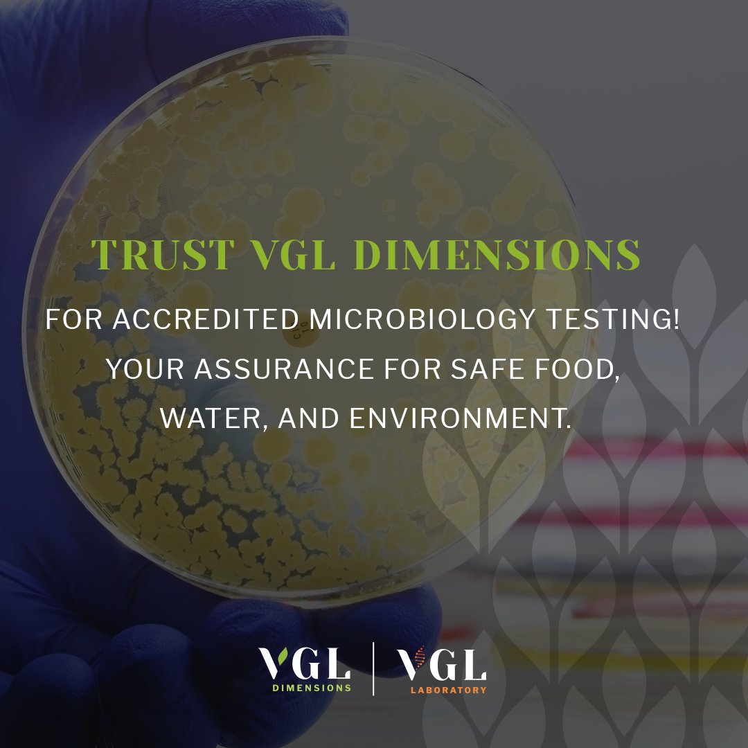 VGLDimensions's tweet photo. 🔬 MICROBIOLOGY MAGIC AT VGL DIMENSIONS! 🦠✨

Got testing needs? We’ve got solutions! 📩 Contact:
📧 anna@vgldimensions.co.za | billal@vgldimensions.co.za

✅ Your assurance for safe food, water, and environment. 🌍💙

 #VGLDimensions #QualityAssured https://t.co/B5r2Ryuiu0
