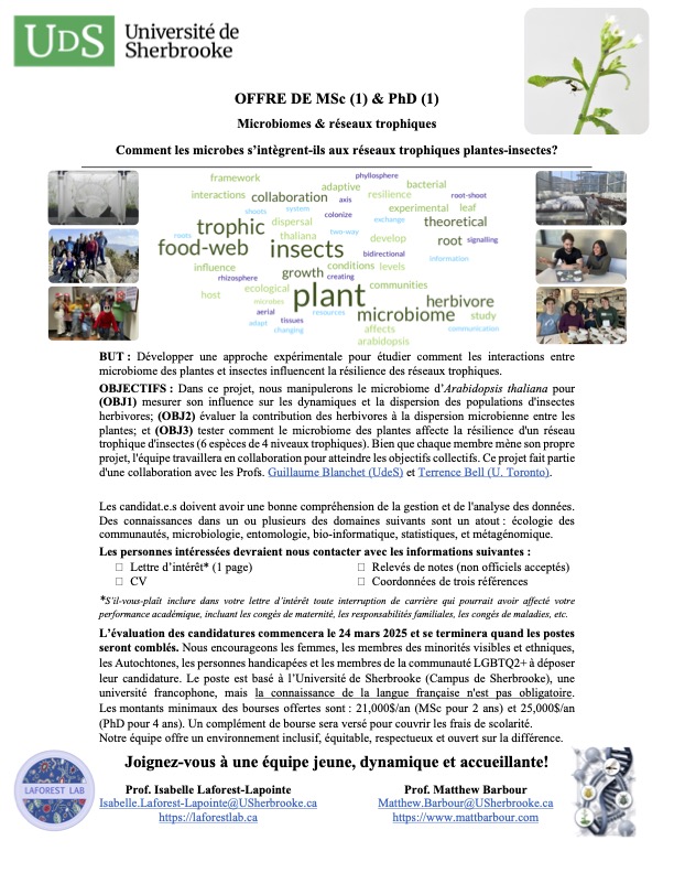 Pr. & Dr. Isabelle Laforest-L. (she/her/elle) (@isabel_laforest) on Twitter photo <a href="/FoodWebEcoEvo/">Matt Barbour, PhD</a> & I are recruiting 1 MSc & 1 PhD students.
Details below.
<a href="/FoodWebEcoEvo/">Matt Barbour, PhD</a> & moi recrutons 1 MSc & 1 PhD.
Détails ci-dessous.
#Microbiome #Foodweb #Insects #Arabidopsis
<a href="/centre_seve/">Centre SÈVE</a> <a href="/USherbrooke/">Université de Sherbrooke</a> <a href="/CEF_CFR/">CEF_CFR</a> <a href="/FRQ_NT/">FRQ - secteur Nature et technologies</a> <a href="/NSERC_CRSNG/">NSERC / CRSNG</a> <a href="/csbq_qcbs/">CSBQ-QCBS</a> <a href="/CSEE_SCEE/">CSEE_SCEE</a> <a href="/FoodWebEcoEvo/">Matt Barbour, PhD</a> & I are recruiting 1 MSc & 1 PhD students.
Details below.
<a href="/FoodWebEcoEvo/">Matt Barbour, PhD</a> & moi recrutons 1 MSc & 1 PhD.
Détails ci-dessous.
#Microbiome #Foodweb #Insects #Arabidopsis
<a href="/centre_seve/">Centre SÈVE</a> <a href="/USherbrooke/">Université de Sherbrooke</a> <a href="/CEF_CFR/">CEF_CFR</a> <a href="/FRQ_NT/">FRQ - secteur Nature et technologies</a> <a href="/NSERC_CRSNG/">NSERC / CRSNG</a> <a href="/csbq_qcbs/">CSBQ-QCBS</a> <a href="/CSEE_SCEE/">CSEE_SCEE</a>