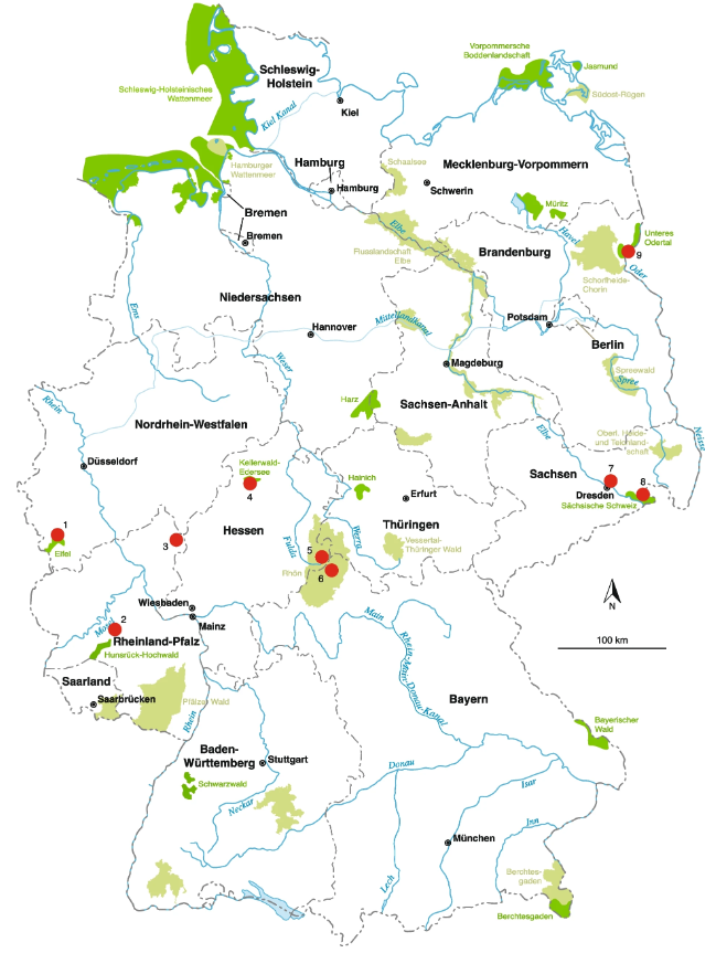 Mammal Research tweet media