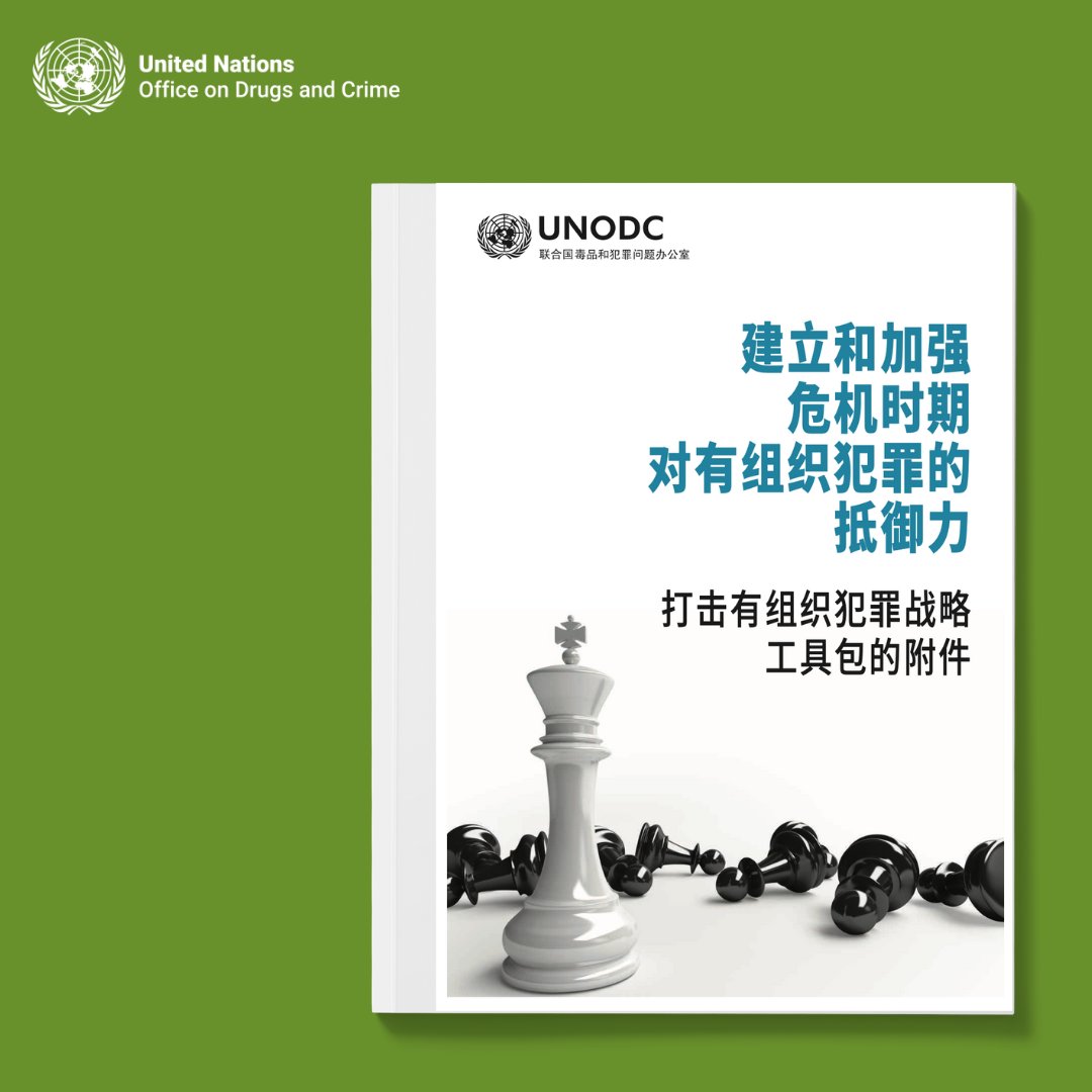 《打击有组织犯罪战略工具包的附件》聚焦于在危机时期提升对有组织犯罪抵御能力的战略，政策应对措施及干预方案。 

 该附件同时借鉴并补充了《打击有组织犯罪战略工具包》所构建的概念框架。  

更多信息详见: ➡️ bit.ly/46EaLhF