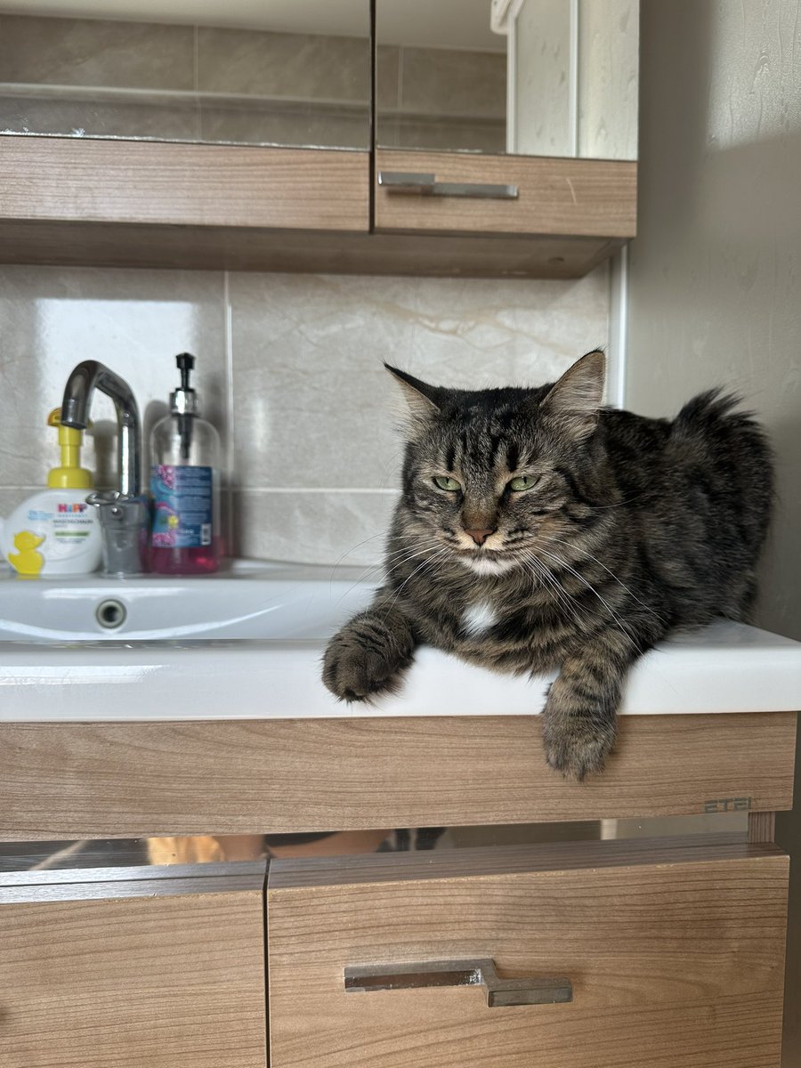 Gıma geldi annesi üş semedir bemi çekiyosum her yernerde bıhtıh yaaağğğuuu