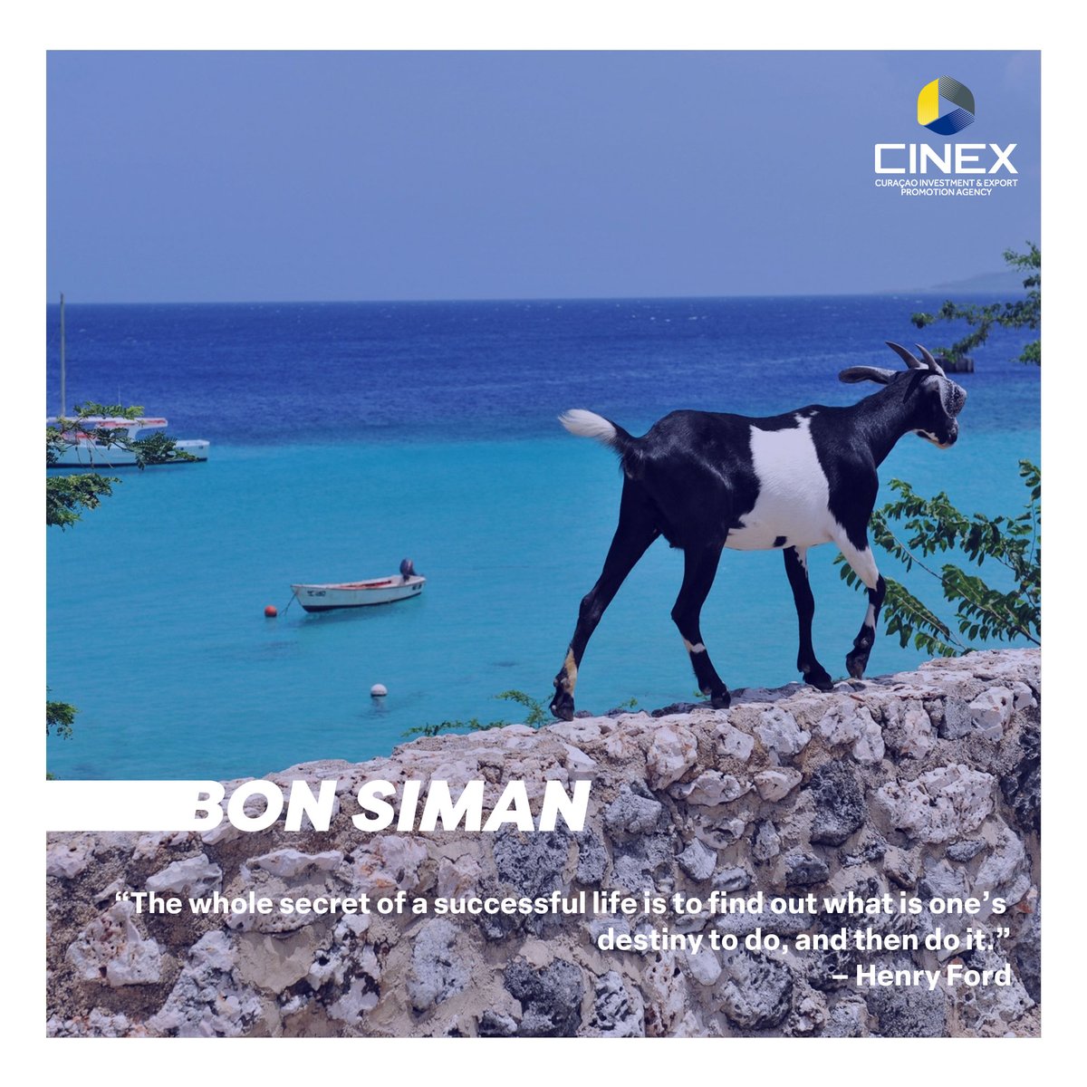 #BonSiman

#investincuracao #curacao #opportunities #development #investment #growth