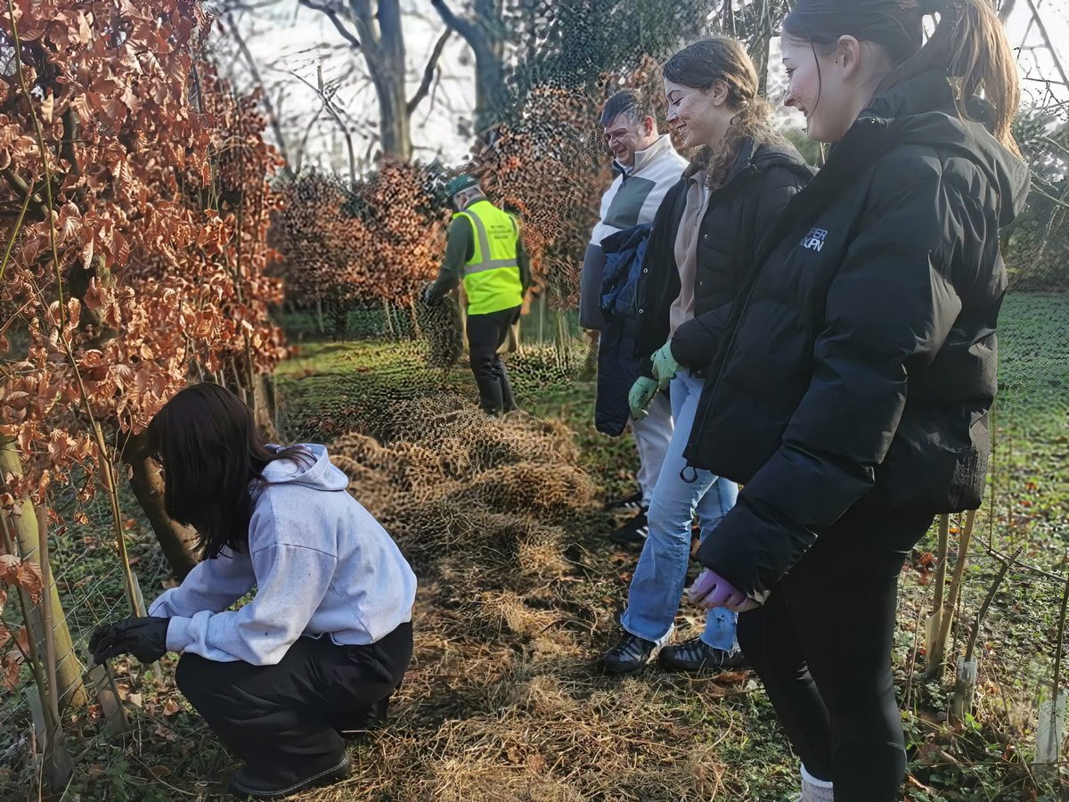 Work on the Maze continues with the help of our volunteers 👏