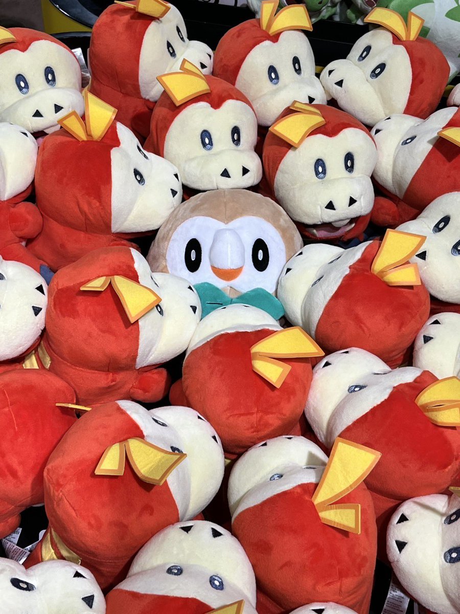 東京駅のポケモンストアにて
モクローさん埋もれてた