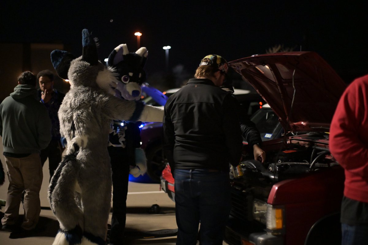 Cody&Cooper@TFF🤪 tweet media