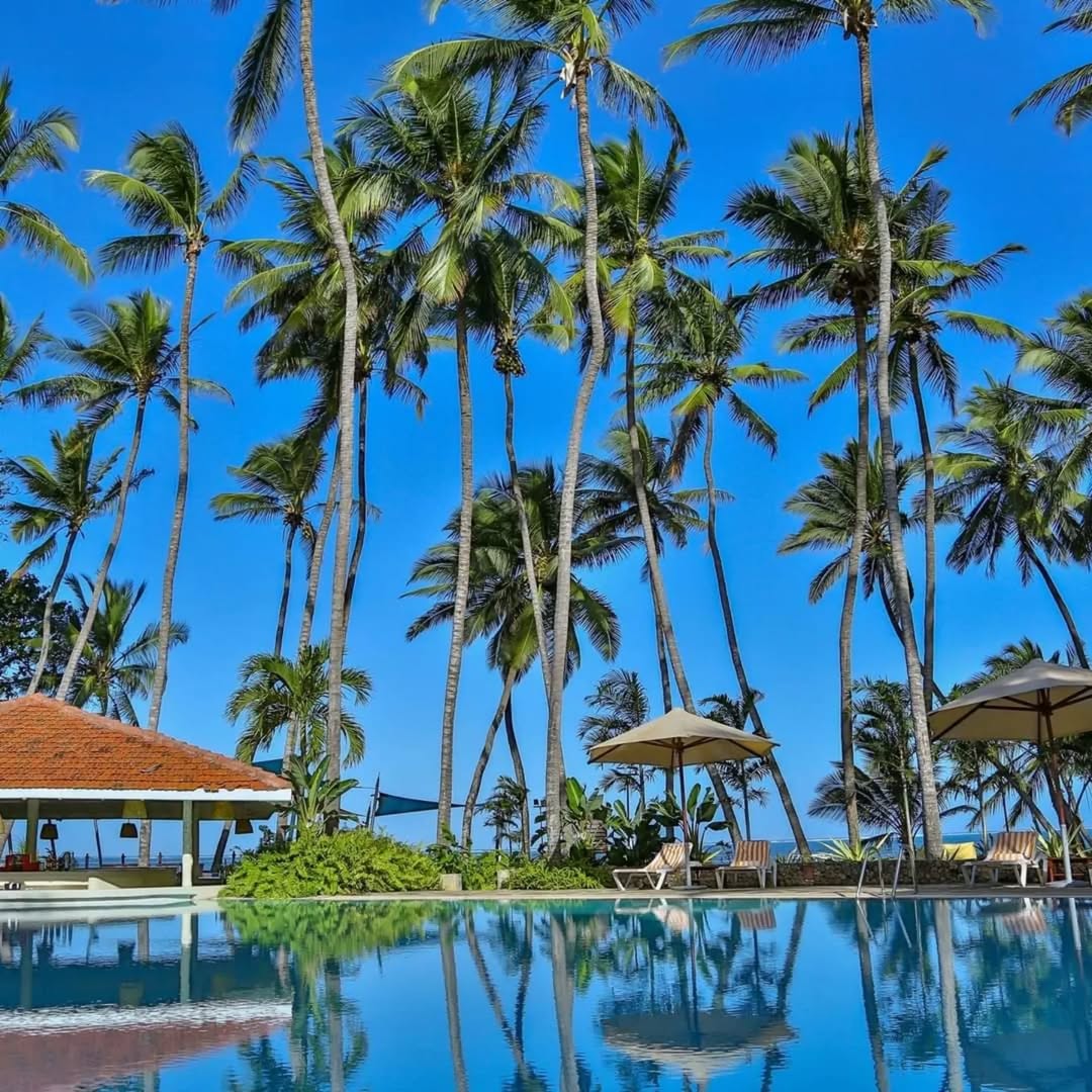 onedancesafaris's tweet image. Beach bliss surrounded by the sun, sand and the serenity for you to relax and rejuvenate awaits at Sarova Whitesands Beach Resort. 

This is a sanctuary where you'll find solace amidst endless ocean views. 

#MagicalKenyaOpen
#visitkenya #Travel #Easter #vacation