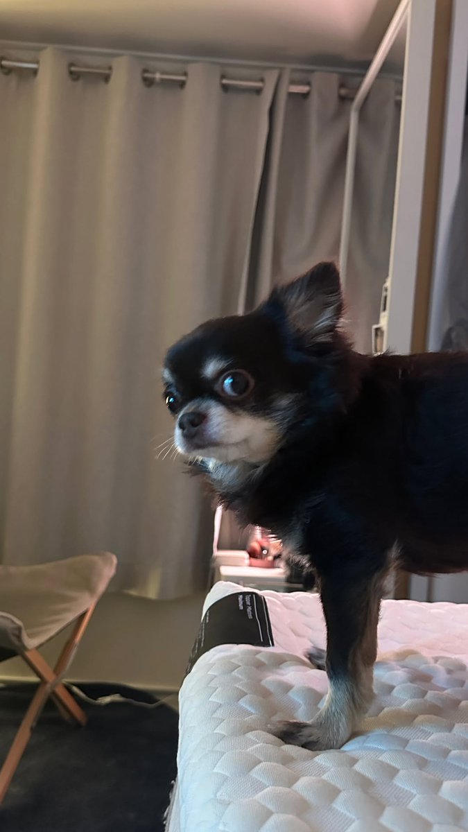 [250224 인스타스토리]

하 진짜 잘생겼네