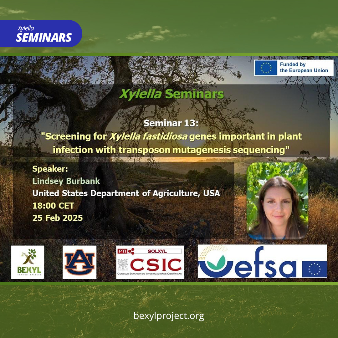 Bexyl Project tweet media