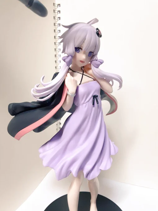 なんだかんだでゆかりさんが来てくれました。 