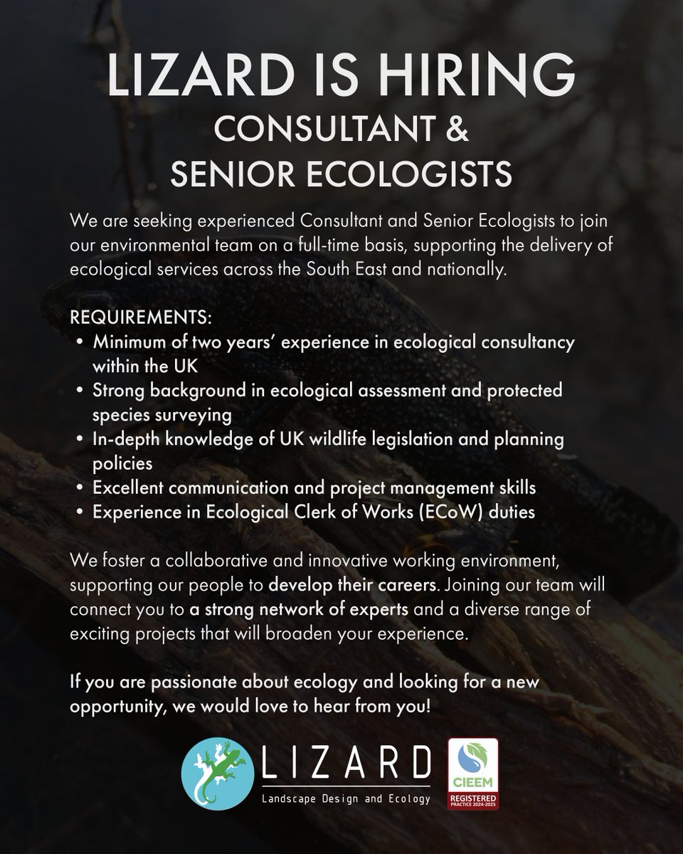 LizardLD's tweet photo. 📢 LIZARD IS HIRING! 🦎

We're looking for Consultant &amp; Senior Ecologists to join our team! 🌿

🔹 2+ yrs UK ecological consultancy experience
🔹 Expertise in assessments &amp; protected species surveys
🔹 Strong knowledge of UK wildlife laws &amp; planning
 #EcologyJobs #Hiring https://t.co/EIOiXCqAYk