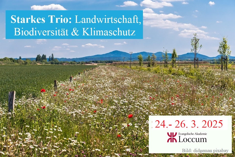 Monika CM Müller (@monikacmmueller) on Twitter photo #Landwirtschaft | #Biodiversität
#Naturschutz und #Klimaschutz bleiben wichtig - in jedem Land
EINLADUNG zur Tagung an der <a href="/EA_Loccum/">Evangelische Akademie Loccum</a>
Programm, mehr Infos und Anmeldung sind hier zu finden: loccum.de/tagungen/2512/ #Landwirtschaft | #Biodiversität
#Naturschutz und #Klimaschutz bleiben wichtig - in jedem Land
EINLADUNG zur Tagung an der <a href="/EA_Loccum/">Evangelische Akademie Loccum</a>
Programm, mehr Infos und Anmeldung sind hier zu finden: loccum.de/tagungen/2512/