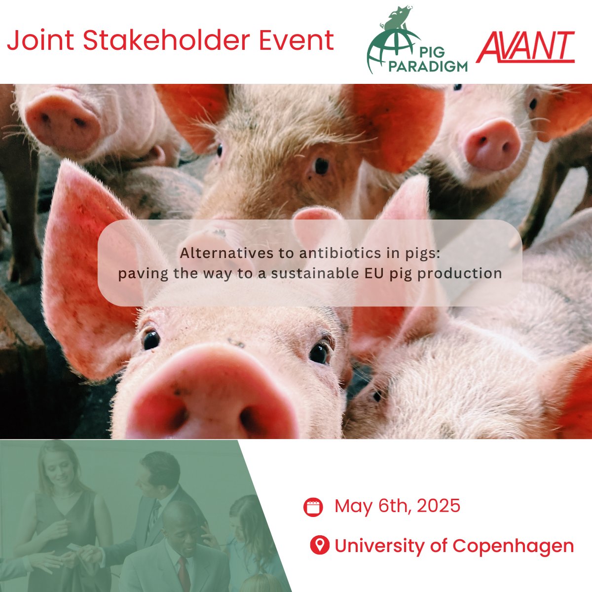 Alternatives to Antibiotics in Pigs: Paving the Way to a Sustainable EU Pig Production 🐷🌱

This upcoming May, AVANT &amp; PIG-PARADIGM are hosting a stakeholder event to explore sustainable solutions for pig farming. Discussions will focus on reducing hashtag#antibiotic use,