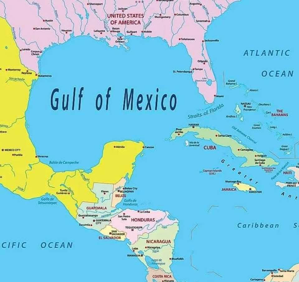 David Burley (@david1burley) on Twitter photo 