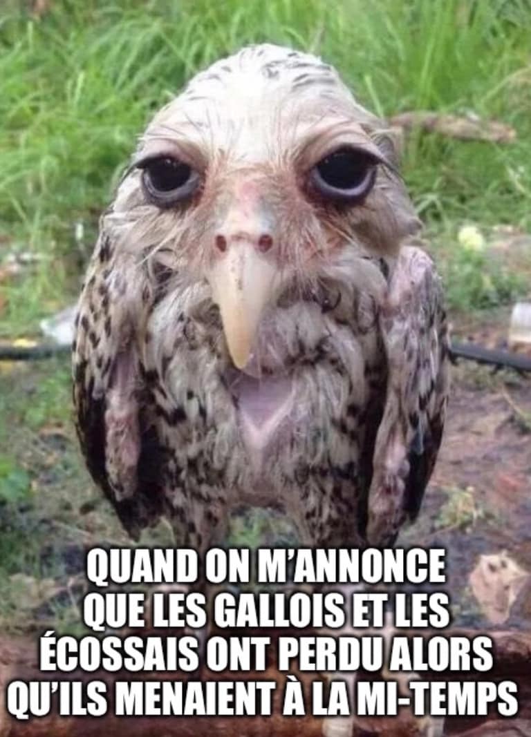 On a faillit connaitre un samedi merveilleux qui aurait tellement simplifié nos rêves de titre...