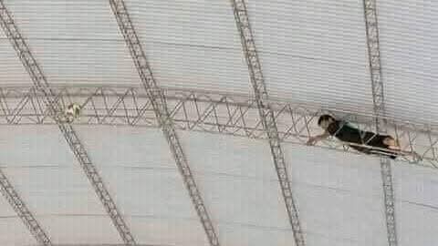 fmauriciohidal's tweet photo. Profe: no hay fútbol porque la pelota se quedó en el techo 

El que repitió 5 veces:
#ComienzoDeClases https://t.co/S8iRVtPJ8z