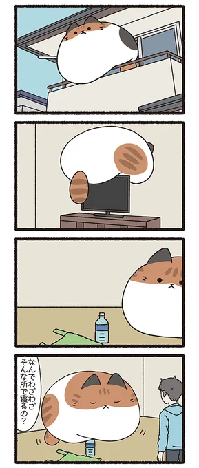 ねこようかい つるべおとし(2/3) 