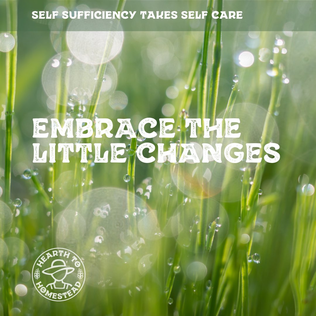 Change can be as refreshing as a morning dew on your fields! 🌱 Embrace the little changes. 🚜 

#homesteading #homesteadingcanada #farming #farm #countryliving #gardening  #homesteadliving #farmher #backyardchickens #garden #farmstead #sustainableliving #backyardhomestead