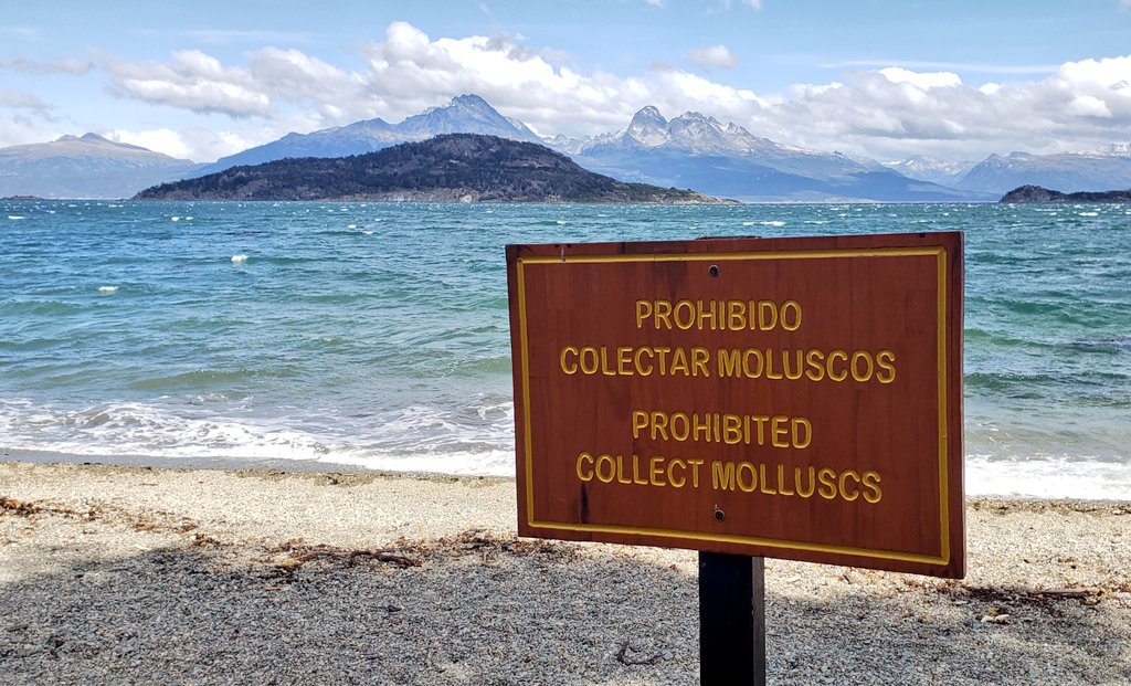 Good thing the ones I'm after aren't usually at the beach! Beagle Channel / Tierra del Fuego National Park. (Could I pick up an urchin test or crab moult though?)